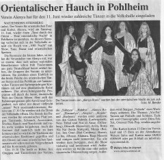 Presse2011Vorbericht